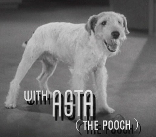 1352363108 14 FT0 Asta In After The Thin Man Trailer